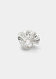 anillo gorgonia de plata